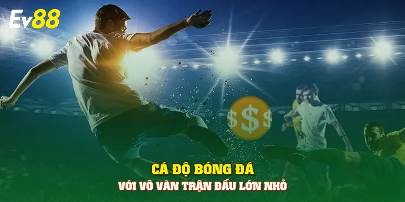 Cá độ bóng đá với vô vàn trận đấu lớn nhỏ