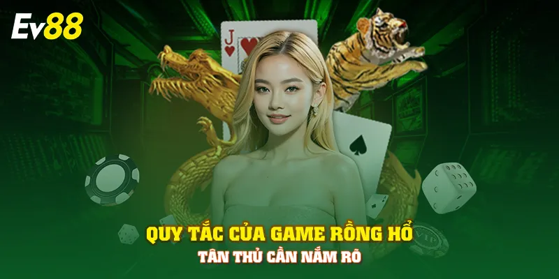 Quy tắc của game rồng hổ tân thủ cần nắm rõ